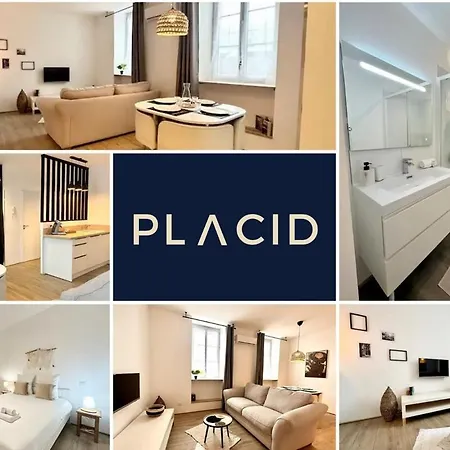 Apartamento Le Despiau - Parking - Clim - Fibre - Proche Base